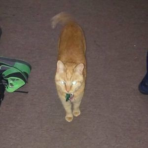 Meet your Posher, Edward